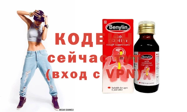 крисы Кулебаки
