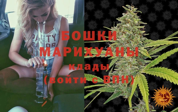 метадон Инсар