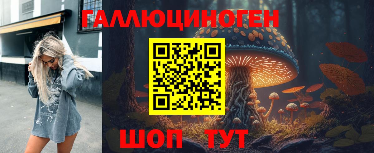 Кандалакша  Галлюциногенные грибы Psilocybe  Вход с VPN 
