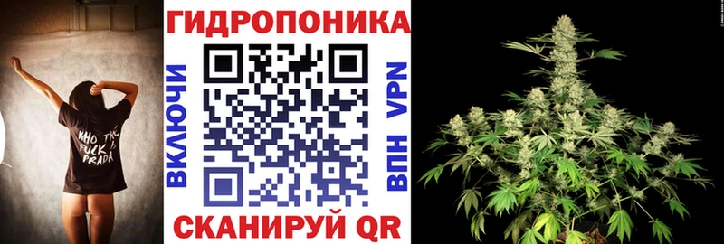 Конопля Amnesia  Кандалакша 